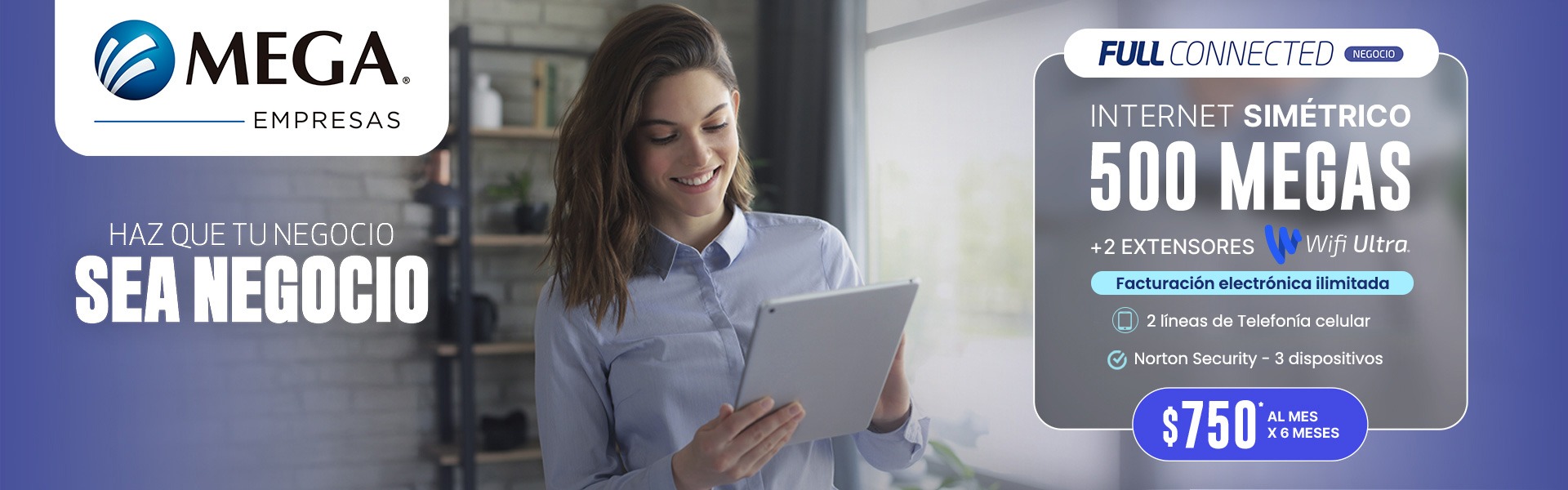 FULL CONNECTED NEGOCIO