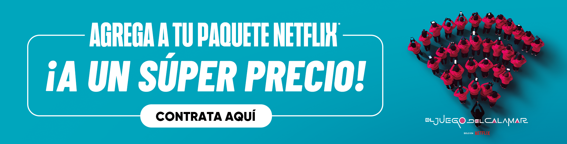 AGREGA NETFLIX